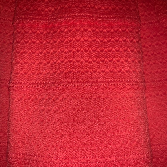 NWT Express Circle Skirt L - Picture 2 of 4